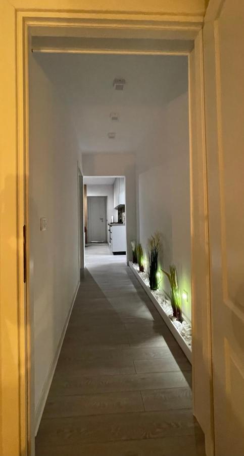 Oxana Apartments - 3 Camere - Timişoara Eksteriør bilde