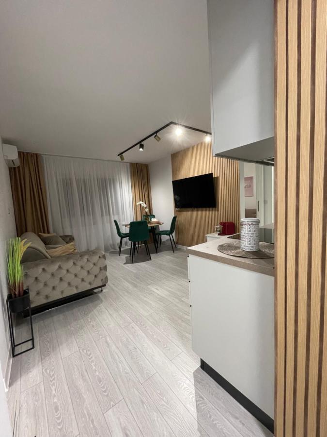 Oxana Apartments - 3 Camere - Timişoara Eksteriør bilde