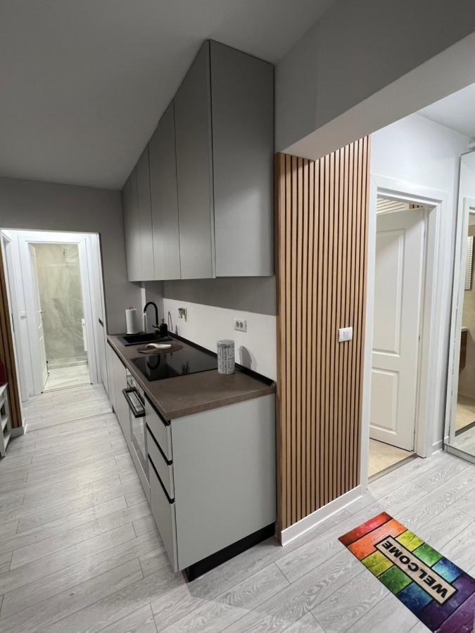 Oxana Apartments - 3 Camere - Timişoara Eksteriør bilde