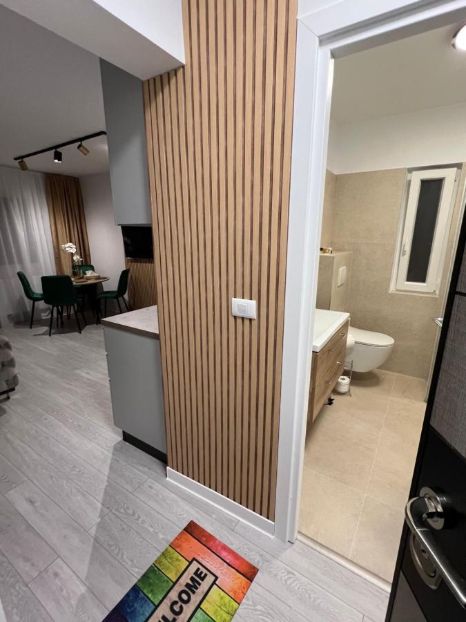 Oxana Apartments - 3 Camere - Timişoara Eksteriør bilde