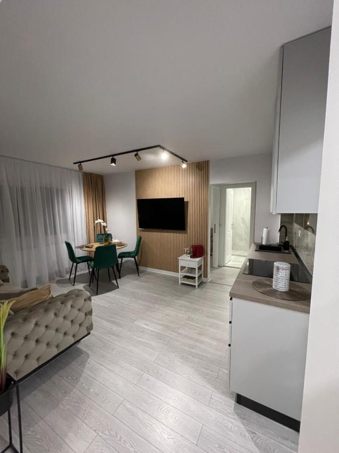 Oxana Apartments - 3 Camere - Timişoara Eksteriør bilde