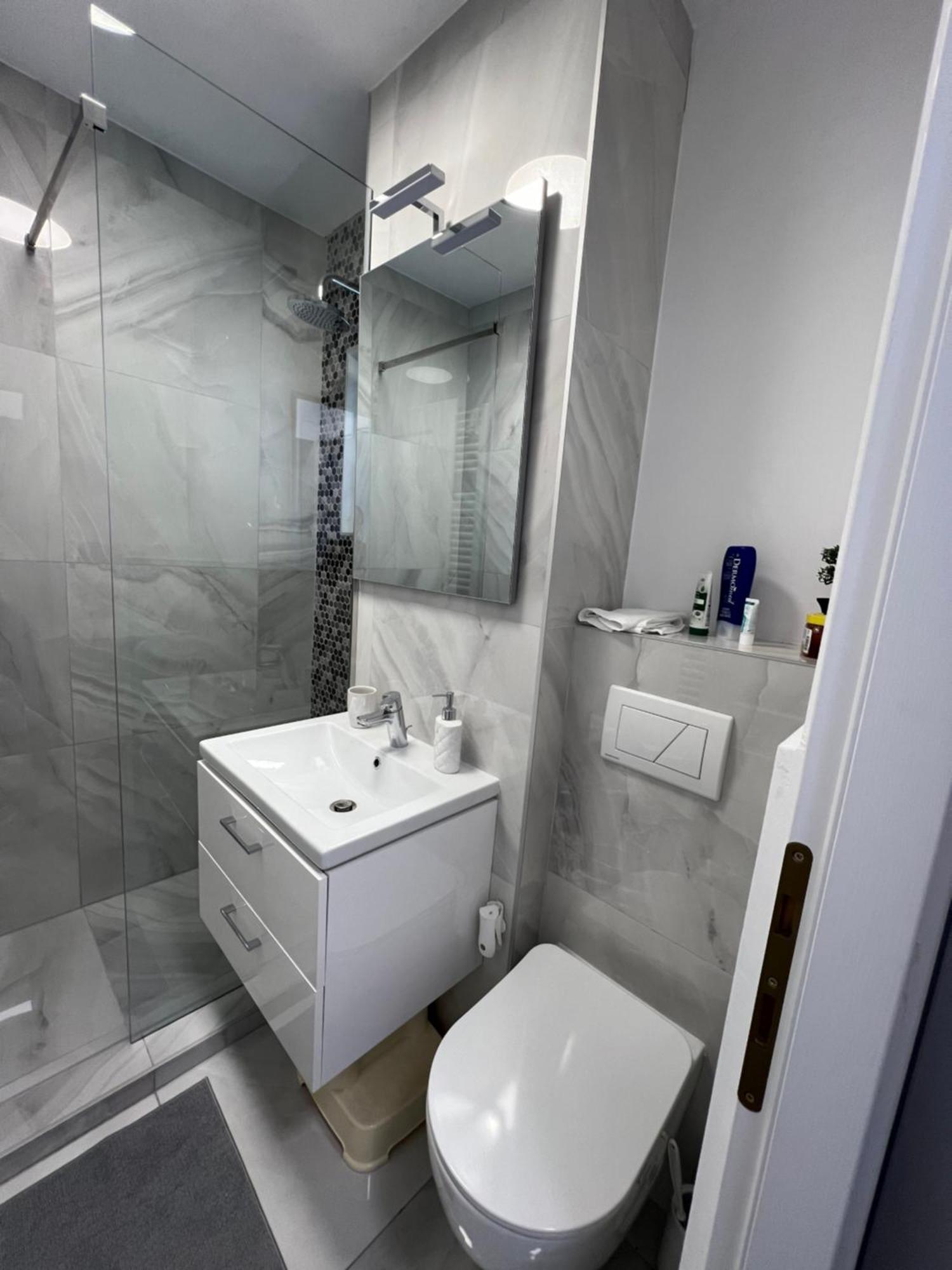 Oxana Apartments - 3 Camere - Timişoara Eksteriør bilde